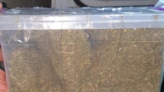 Раскрыт один из самых крупномасштабных случаев незаконного оборота наркотиков и контрабанды наркотиков в Армении: предварительное следствие по части 7 членов преступной группы завершено (фото)